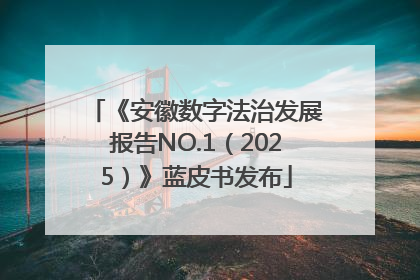 《安徽数字法治发展报告NO.1（2025）》蓝皮书发布