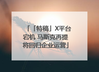 「特稿」X平台宕机 马斯克再提将回归企业运营
