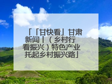 「甘快看」甘肃新闻丨（乡村行 看振兴）特色产业托起乡村振兴路