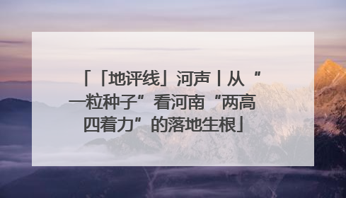 「地评线」河声丨从“一粒种子”看河南“两高四着力”的落地生根