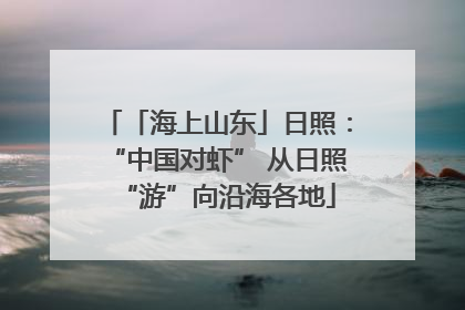 「海上山东」日照：“中国对虾” 从日照“游”向沿海各地