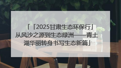 「2025甘肃生态环保行」从风沙之源到生态绿洲——青土湖华丽转身书写生态新篇
