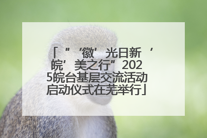 “‘徽’光日新‘皖’美之行”2025皖台基层交流活动启动仪式在芜举行