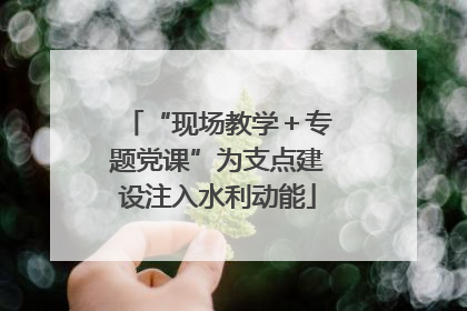 “现场教学＋专题党课”为支点建设注入水利动能