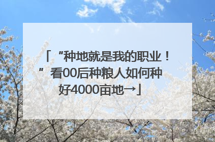 “种地就是我的职业！”看00后种粮人如何种好4000亩地→
