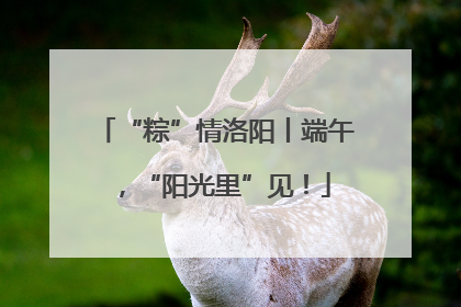 “粽”情洛阳丨端午，“阳光里”见！