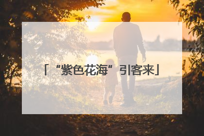 “紫色花海”引客来