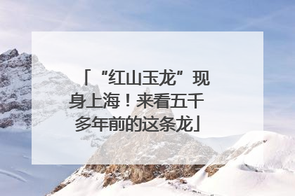 “红山玉龙”现身上海！来看五千多年前的这条龙