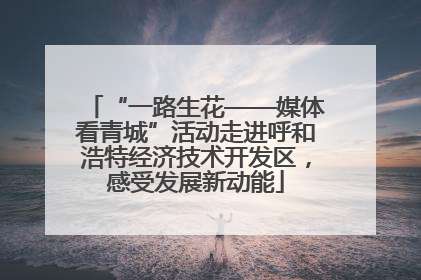 “一路生花——媒体看青城”活动走进呼和浩特经济技术开发区，感受发展新动能