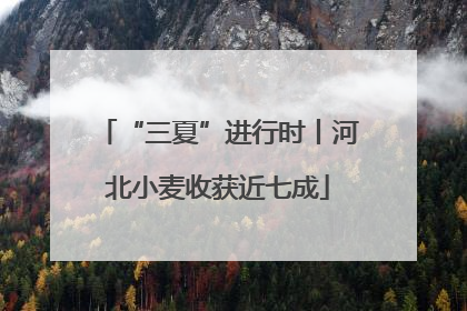 “三夏”进行时丨河北小麦收获近七成