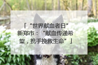 “世界献血者日” 新郑市：“献血传递希望，携手挽救生命”