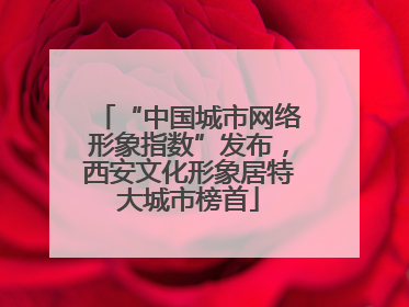 “中国城市网络形象指数”发布，西安文化形象居特大城市榜首