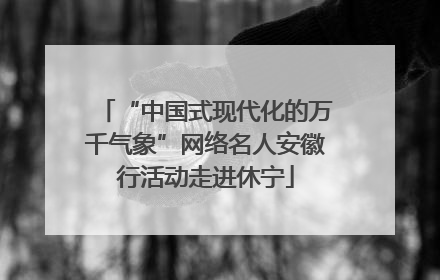 “中国式现代化的万千气象”网络名人安徽行活动走进休宁