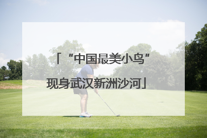 “中国最美小鸟”现身武汉新洲沙河