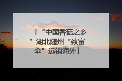“中国香菇之乡”湖北随州“致富伞”远销海外