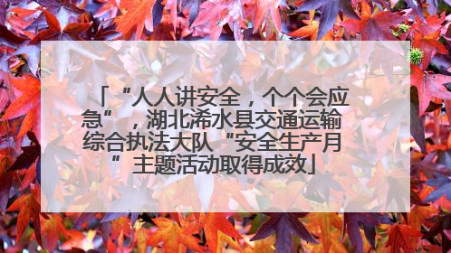 “人人讲安全，个个会应急”，湖北浠水县交通运输综合执法大队“安全生产月”主题活动取得成效