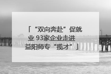“双向奔赴”促就业 93家企业走进益阳师专“揽才”