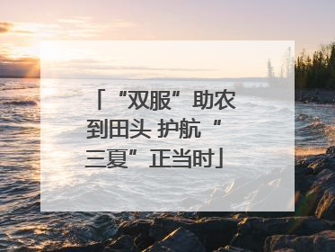 “双服”助农到田头 护航“三夏”正当时