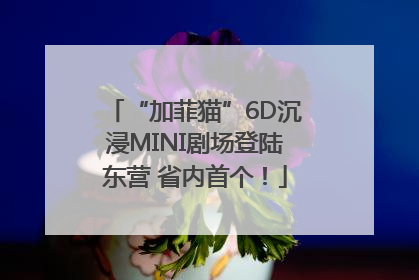 “加菲猫”6D沉浸MINI剧场登陆东营 省内首个！