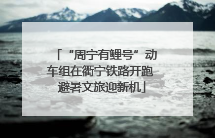 “周宁有鲤号”动车组在衢宁铁路开跑 避暑文旅迎新机