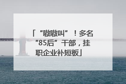 “嗷嗷叫”！多名“85后”干部，挂职企业补短板