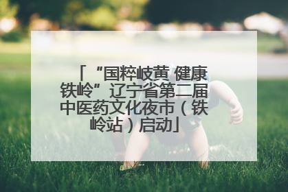 “国粹岐黄 健康铁岭”辽宁省第二届中医药文化夜市（铁岭站）启动