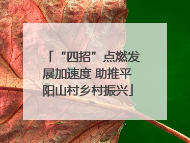 “四招”点燃发展加速度 助推平阳山村乡村振兴