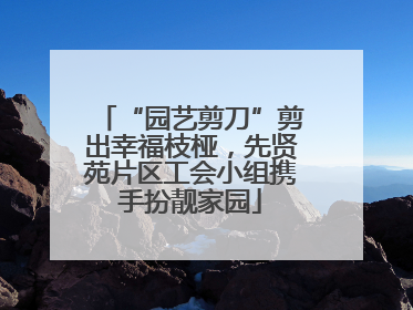 “园艺剪刀”剪出幸福枝桠，先贤苑片区工会小组携手扮靓家园