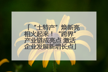 “土特产”焕新亮相火起来！“跨界”产业链成亮点 激活企业发展新增长点