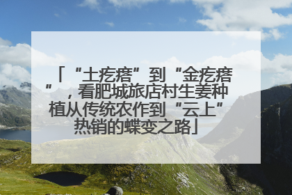“土疙瘩”到“金疙瘩”，看肥城旅店村生姜种植从传统农作到“云上”热销的蝶变之路