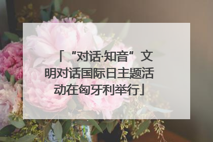“对话·知音”文明对话国际日主题活动在匈牙利举行