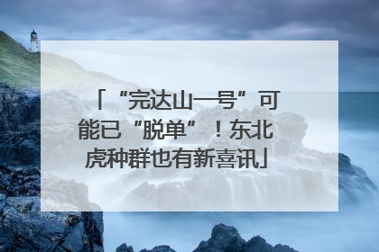 “完达山一号”可能已“脱单”！东北虎种群也有新喜讯