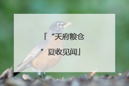 “天府粮仓”夏收见闻