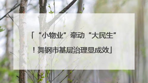 “小物业”牵动“大民生”！舞钢市基层治理显成效