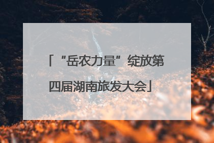 “岳农力量”绽放第四届湖南旅发大会