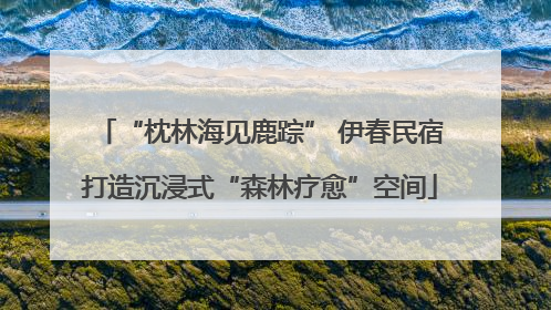 “枕林海见鹿踪” 伊春民宿打造沉浸式“森林疗愈”空间