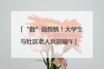 “数”说传统！大学生与社区老人共迎端午