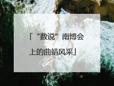 “数说”南博会上的曲靖风采
