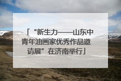 “新生力——山东中青年油画家优秀作品邀请展”在济南举行