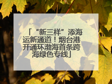 “新三样”添海运新通道！烟台港开通环渤海首条跨海绿色专线