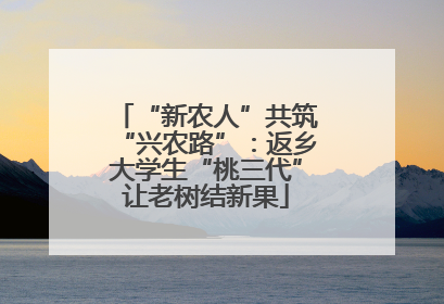 “新农人”共筑“兴农路”：返乡大学生“桃三代”让老树结新果