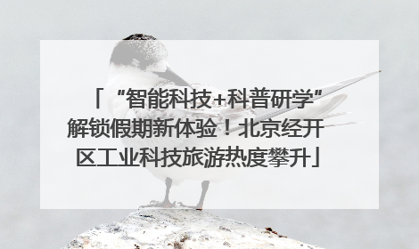 “智能科技+科普研学”解锁假期新体验！北京经开区工业科技旅游热度攀升