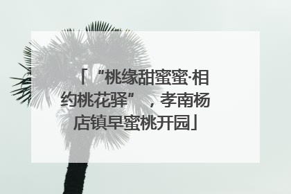 “桃缘甜蜜蜜·相约桃花驿”，孝南杨店镇早蜜桃开园