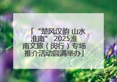 “楚风汉韵 山水淮南” 2025淮南文旅（闵行）专场推介活动圆满举办