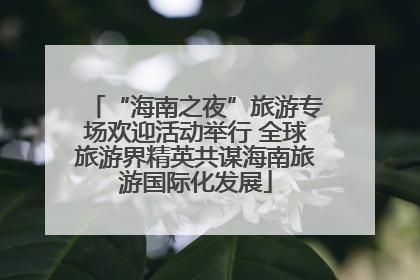 “海南之夜”旅游专场欢迎活动举行 全球旅游界精英共谋海南旅游国际化发展