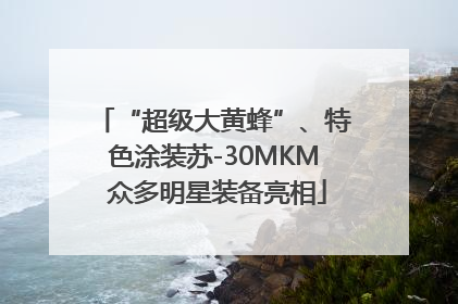“超级大黄蜂”、特色涂装苏-30MKM 众多明星装备亮相