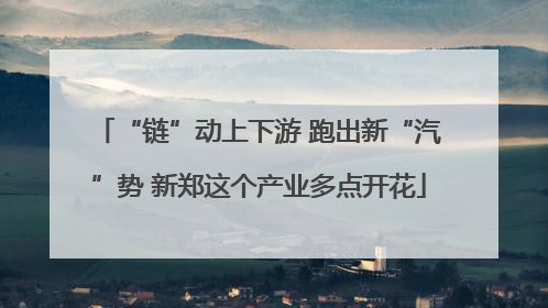 “链”动上下游 跑出新“汽”势 新郑这个产业多点开花