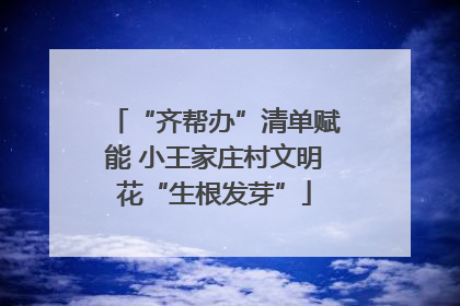 “齐帮办”清单赋能 小王家庄村文明花“生根发芽”