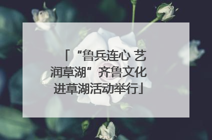 “鲁兵连心 艺润草湖”齐鲁文化进草湖活动举行