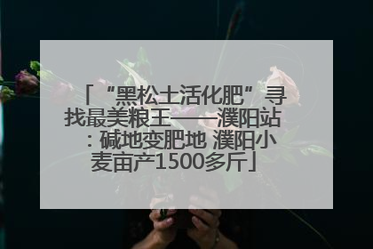 “黑松土活化肥”寻找最美粮王——濮阳站：碱地变肥地 濮阳小麦亩产1500多斤